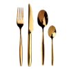 Kitchen and Dining Premier Cutlery | Avie Aura 16Pc Cutlery Set